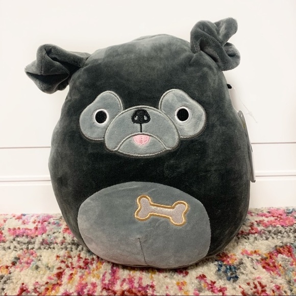 Squishmallow Bongo The Black Pug Dog 